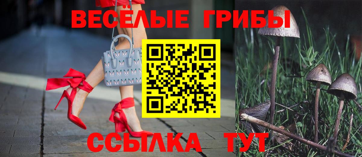 Мыски  Галлюциногенные грибы мухоморы  Вход с VPN 