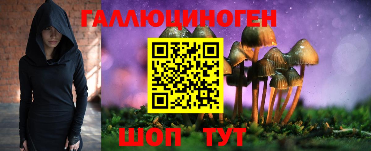 Галлюциногенные грибы ЛСД Мыски